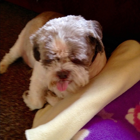 Meet your Posher,Hilda Posh Ambassador - Picture 7 of 7